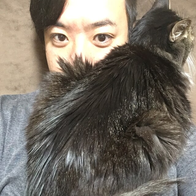 こんしん