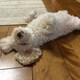 Kanoのアイコン