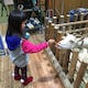SORのアイコン