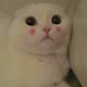 咻马马のアイコン