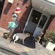 labonjourのアイコン