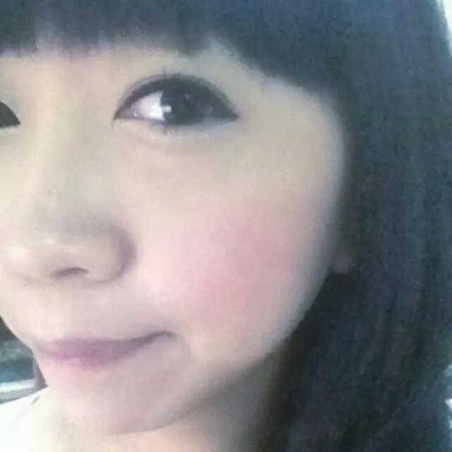 mini.insta