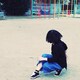 らいきのアイコン