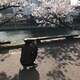 あされんのアイコン