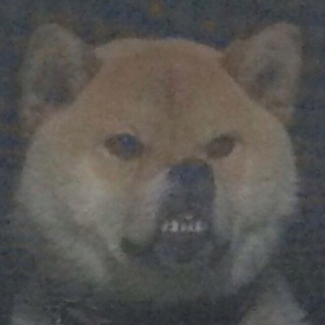 Leooooooo