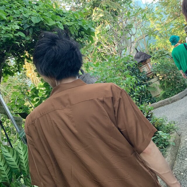 レイニー