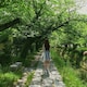 Sashaのアイコン