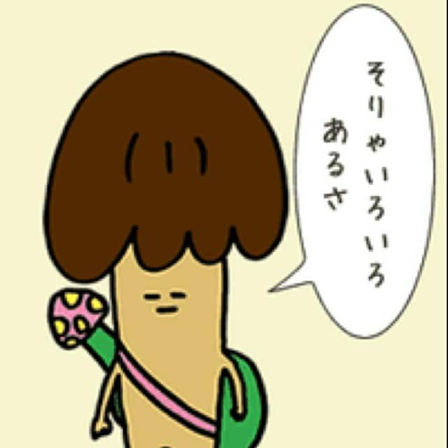 poyo