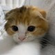 こーへー☆のアイコン
