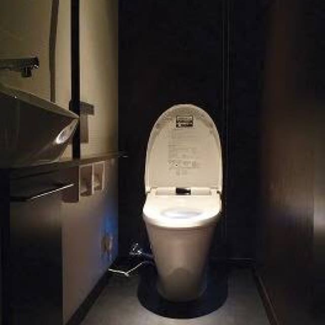 鬼崎  便器