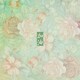 大非のアイコン