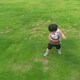 コタのアイコン
