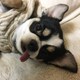chiro...のアイコン
