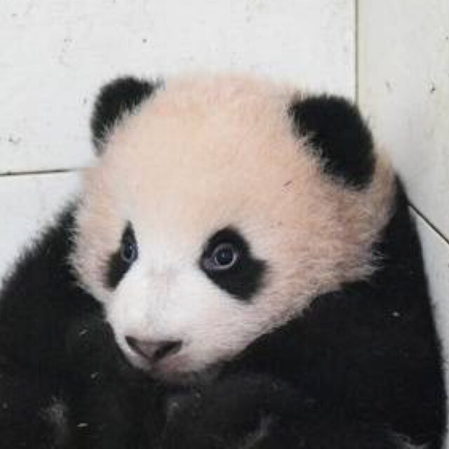 酷特