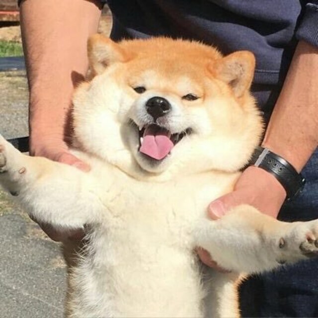 メソ