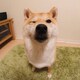 kkiiiのアイコン