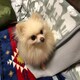 maimaiのアイコン
