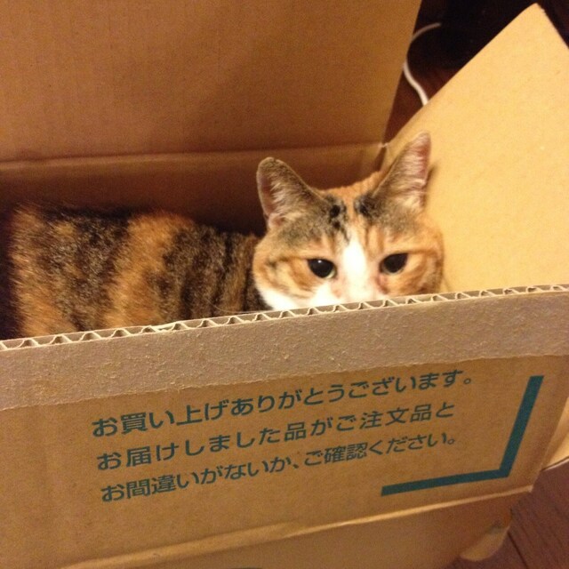 たけまり