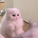 蛋尼尼のアイコン