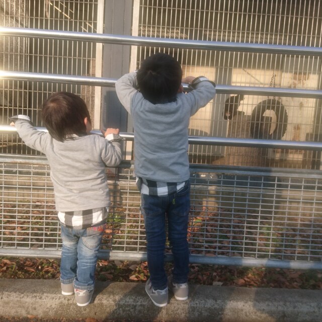 tk-and