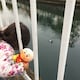こっとんのアイコン