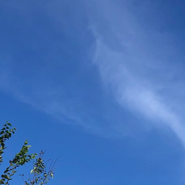 あかあか