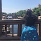 小柴のアイコン
