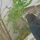 luaomi0616