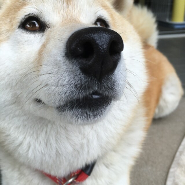 mi