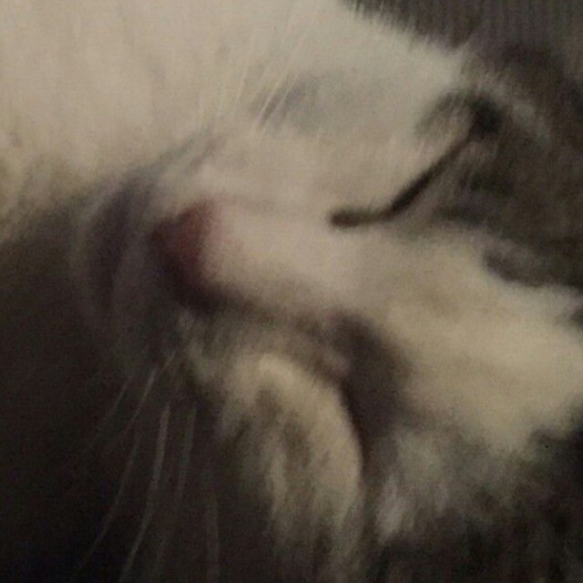 にー