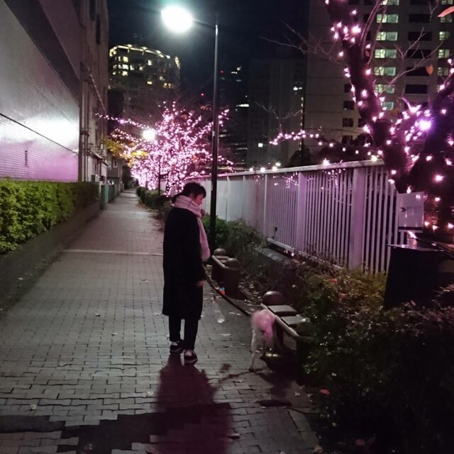 わたなべ。