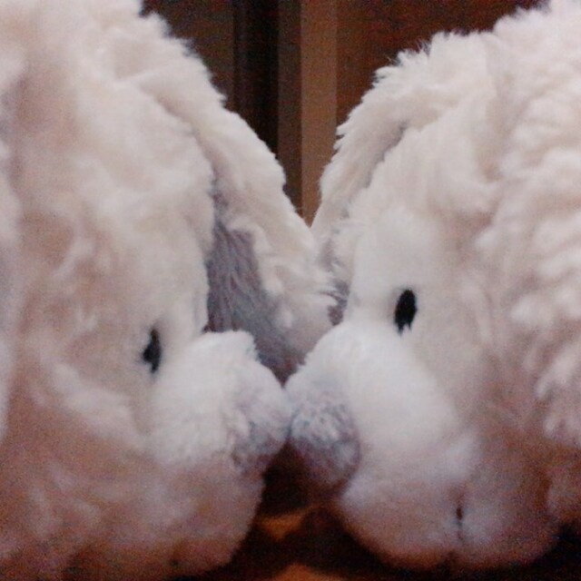 🐰みみ🐰