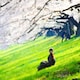 naaaaa0928のアイコン