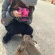 tosa*のアイコン