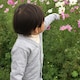 a.oのアイコン