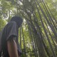 鈴のアイコン