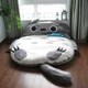 ペローのアイコン