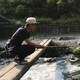 こけこっこのアイコン