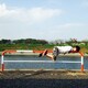 Tomohiro Fのアイコン