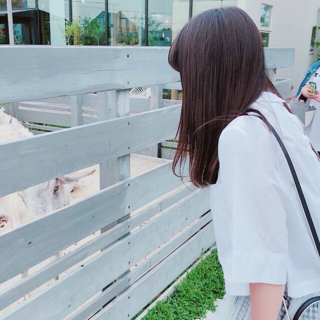 hazu