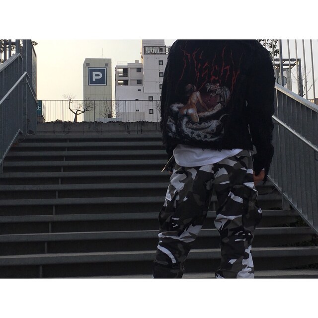 晃汰