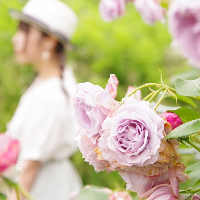 ゆう