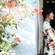 Softvampireのアイコン
