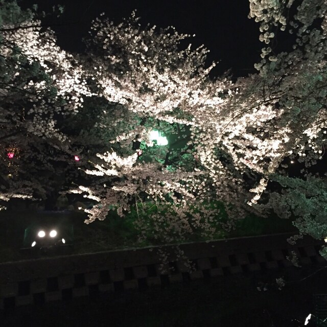 リツ