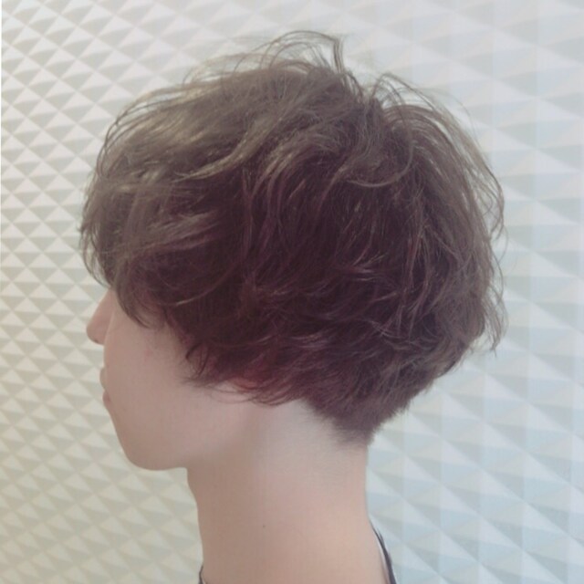 つとむし