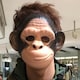 MUSAのアイコン