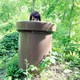 kaoriのアイコン