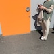 よなのアイコン