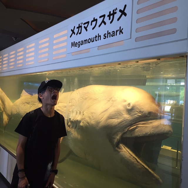 ®︎