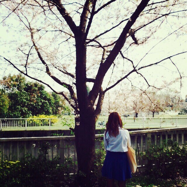 mayuko
